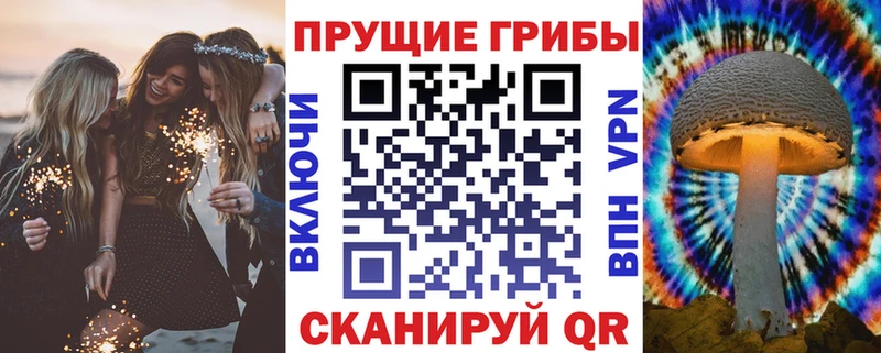 Псилоцибиновые грибы Cubensis Переславль-Залесский