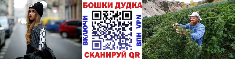 цена наркотик  Переславль-Залесский  Шишки марихуана конопля 